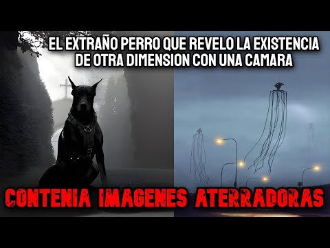 El Extraño Perro Que Encontré Tenia Una Cámara de Video Con Imágenes de Extraterrestres- Creepypasta