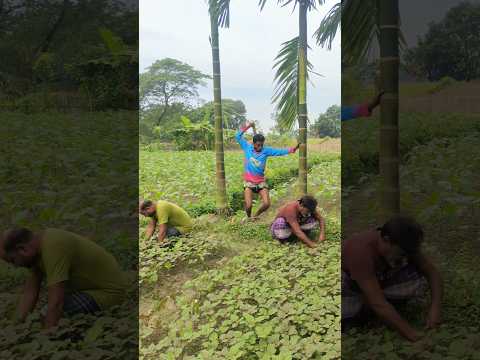 বিটলার বিটলামি দেখেন #shorts #fun #funny #trending #subscribe #fyp #viralshorts #youtubeshorts #fyp