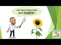 Exploring the World of Plants for 1st Graders
