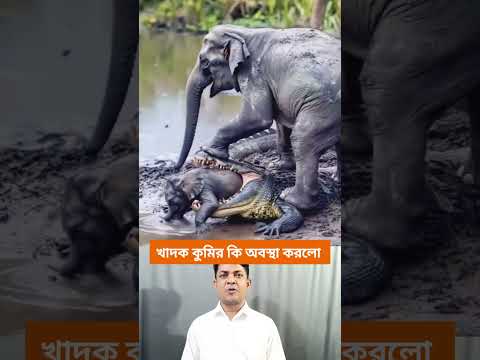 কুমির ও হাতির লড়াই | হাতিও কুমিরের লড়াই। #youtubeshorts #shortsvideo #vital #viralvideo #trending