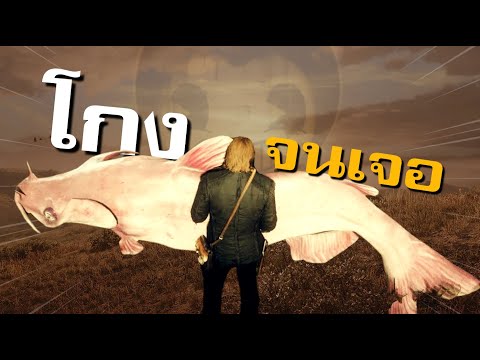 ความลับที่ค้นพบด้วยการ 'โกงเกม'