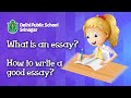 Essay Writing Fundamentals