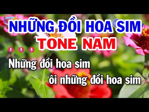 Karaoke Những Đồi Hoa Sim Tone Nam ( Dm ) Nhạc Sống Trữ Tình Dễ Ca | Đồng Sen