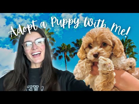 Come With Me to Adopt a PUPPY 🐶 | Meet Maximillian