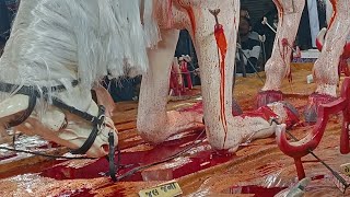 Mohharam karbla ka Roja Hazrat imam Husain ke ghode ka naksha best Rajkot Gujarat 😭 moharram tajiya