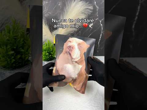 Toda una vida amigo✨💔🔮 #personalizar #mascotas #perros #animales #gatos #regalos
