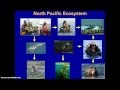 Food Web Dynamics and Ecosystem Impact