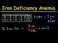 Iron Overload and Deficiency Concepts