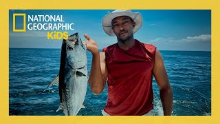 Shark Beach with Anthony Mackie: Gulf Coast Full Episode | @natgeokids