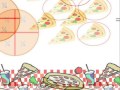 Exploring Fractions for Third Graders