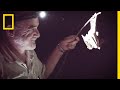 Exploring the Mysteries of Bats