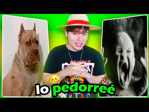 CASI DESINTEGRO A MI PERRO CON UN PEDO TÓXICO ☣️💨