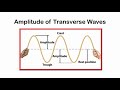 Exploring Wave Properties