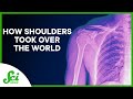 Understanding Mammalian Evolution and Shoulder Adaptation