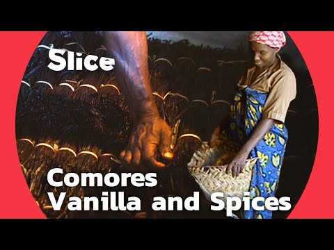 YouTube video thumbnail: The Fragrant Treasures of Comoros: A Dive Into a Perfumed Paradise