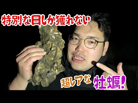 特別な日しか獲れない超レアな牡蠣