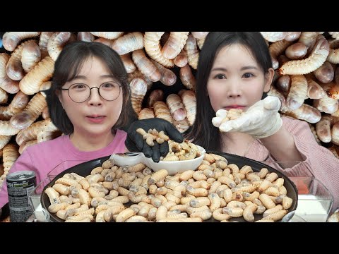 톡톡터짐 주의보🫣귀한손님과 함께 굼벵이먹방 Mukbang eating show