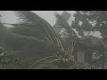 Wind Testing and Structural Durability