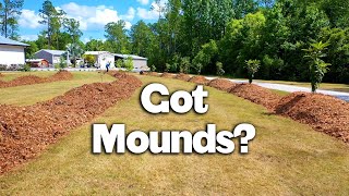 How to Build a Flood-Resistant Polyculture on Raised Mounds for Sustainable Farming