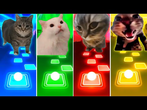 Oiiaoiia Cat vs Coffin Dance Cat vs Chipi Chipi Chapa Chapa Cat vs Doorbell Cat - Tiles Hop EDM Rush