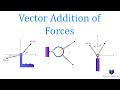 Vector Addition and Force Laws