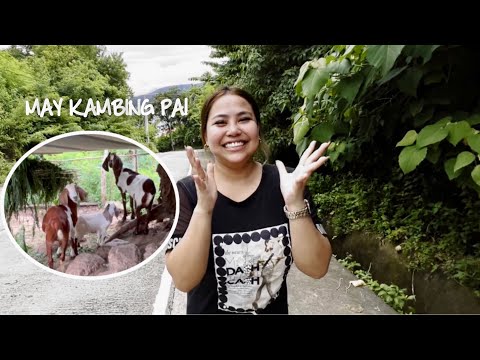 PINAMANAHAN AKO NG LUPA 🏡 (Overlooking Sa Dagat | Probinsya Vlog)