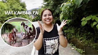 PINAMANAHAN AKO NG LUPA 🏡 (Overlooking Sa Dagat | Probinsya Vlog)