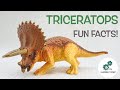 Discovering Triceratops: Fun Facts for Kids