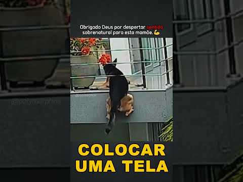 Ficou esperando alguém ajuda-lo #cachorro