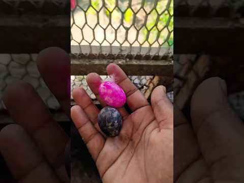 colour anda se kabutar nikala #pigeon#viral#shorts😱🔥🕊️🎨🕊️🥚