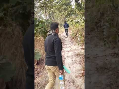 रमणिय स्थल इलाम चुला चुली ५ घुम्न जांदै गरेको मनोरम हरा भरा ठाँउ हेरौ है त........ दर्सक बिन