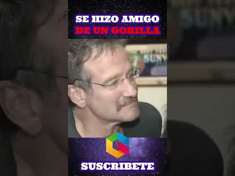 SE HIZO AMIGO DE UN GORILLA 🦍​🥰​🦍​