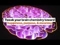 Understanding Motivation and Inertia