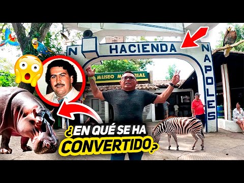 UN DÍA EN LA HACIENDA NÁPOLES🤩✅|￼ COLOMBIA en la ACTUALIDAD🇨🇴