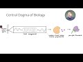 Genetics Principles and Applications