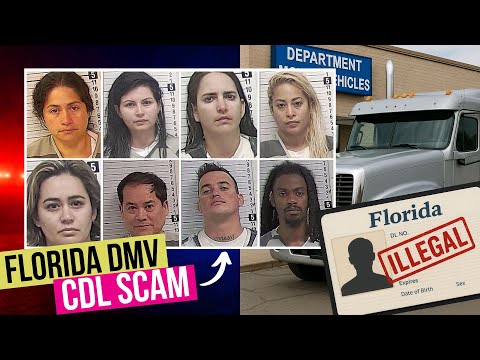 INSANE DMV Fraud EXPOSED! CDL Licenses Sold to Illegal Immigrants!