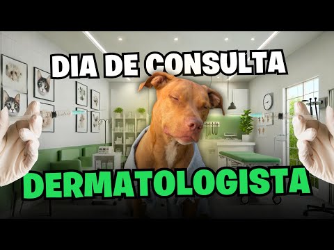 O Que Descobrimos na Consulta Dermatológica do Sebastian?