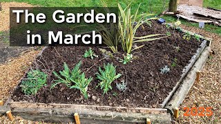 Relaxing Garden Vlog, March 2025