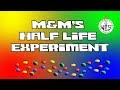 Radioactive Decay Demonstrations