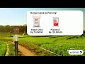 Cuestionario sobre o vídeo tutorial