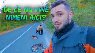 PARADISUL DE LANGA BUZAU - Transcislau si Sarata Monteoru - TripVlog #6