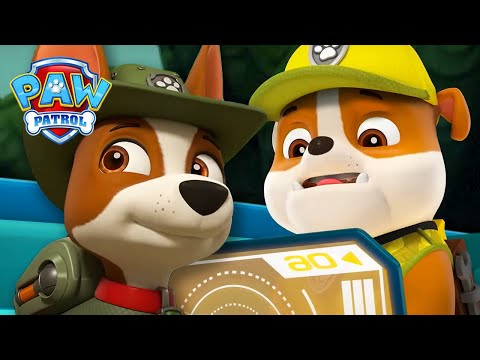 Rastreador Tenta Impedir a Chita de Destruir a Selva! | Patrulha Pata | PAW Patrol