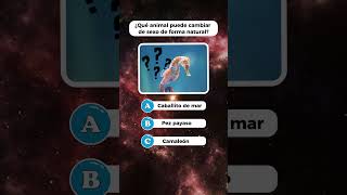 ¿Eres más inteligente que el promedio? 🧠 Demuéstralo con estas preguntas de cultura general 📚