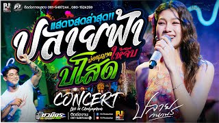 ปลายฟ้า X บ่โสดบ่อนุญาตให้จีบ [[ปลาย กนกพร]] คอนเสิร์ต ณ จ.ชัยภูมิ #รถแห่ชวมิตรมิวสิค