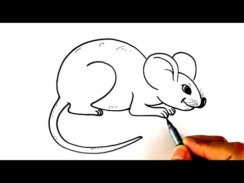 Easy Rat Drawing - How To Draw a Rat Easy Step By Step For Beginners