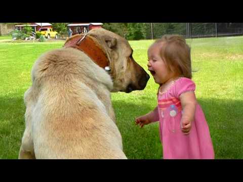 This Baby and Dog Duo Will Melt Your Heart! ❤️ Cute Baby and Dog Video