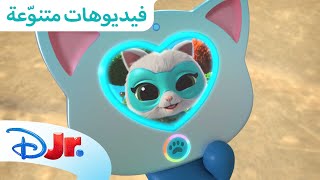 أفضل لحظات بيتسي | القطط الصغيرة الخارقة ⭐ | ديزني جونيور العربية