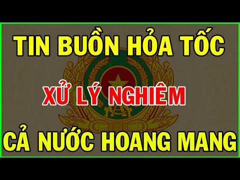 Tin tức nhanh và nóng nhất ngày 22/11/2024//Tin Nóng Chính Trị Việt Nam và Thế Giới#thờisự24hhd