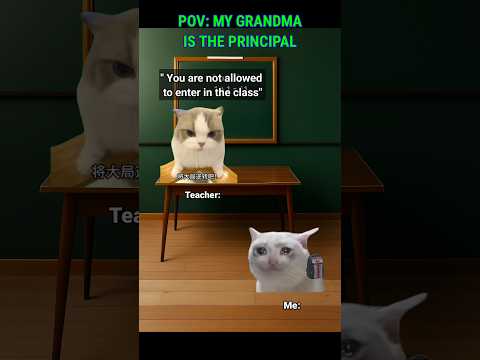 My Grandma is the principal #catmeme #fypviral #storytime