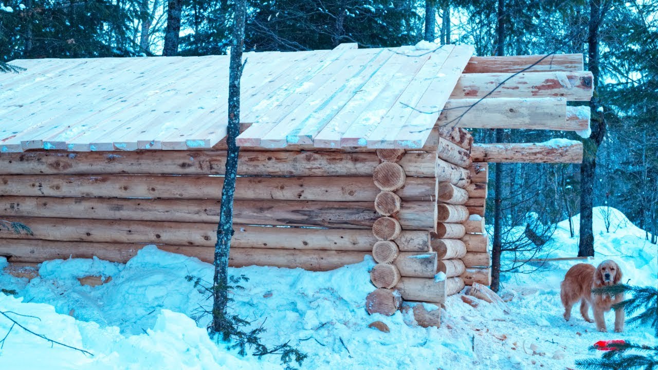 How to Build an Off Grid Log Cabin Purlins and Roof Lake Trout Stew Cast Iron Cooking
